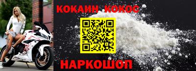 гашик Моздок