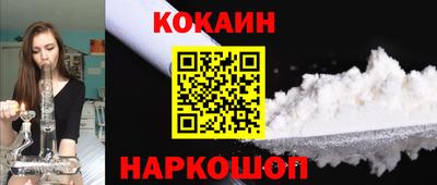 гашик Моздок