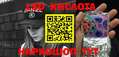 гашик Моздок