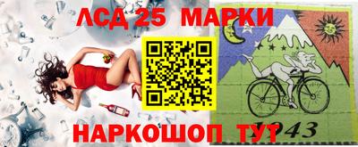 гашик Моздок