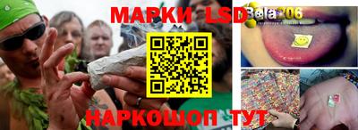 прущие грибы Можга