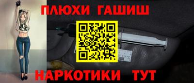 гашик Моздок