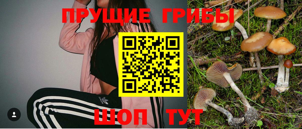 Волгодонск  Псилоцибиновые грибы мухоморы  Вход с VPN  Галлюциногенные грибы Psilocybine cubensis 