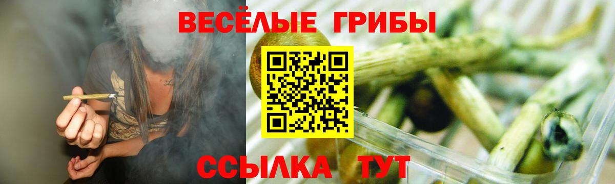 Галлюциногенные грибы Psilocybine cubensis Волгодонск
